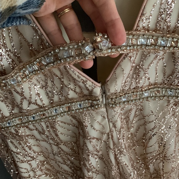Nude / Blush / Gold Formal Sparkly Dress (S) - Picture 7 of 9